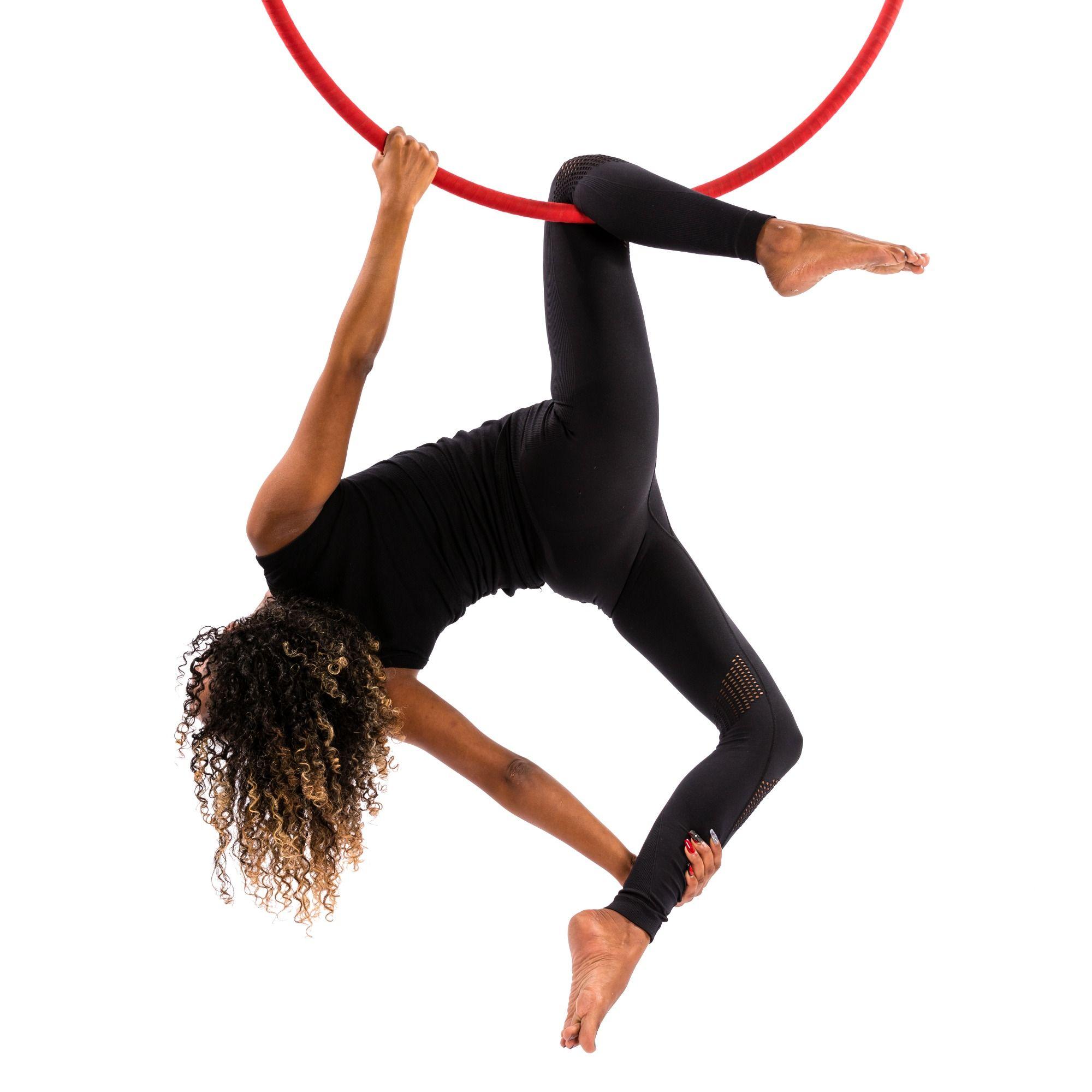 Introduction to Aerial Hoop (buch, englisch)