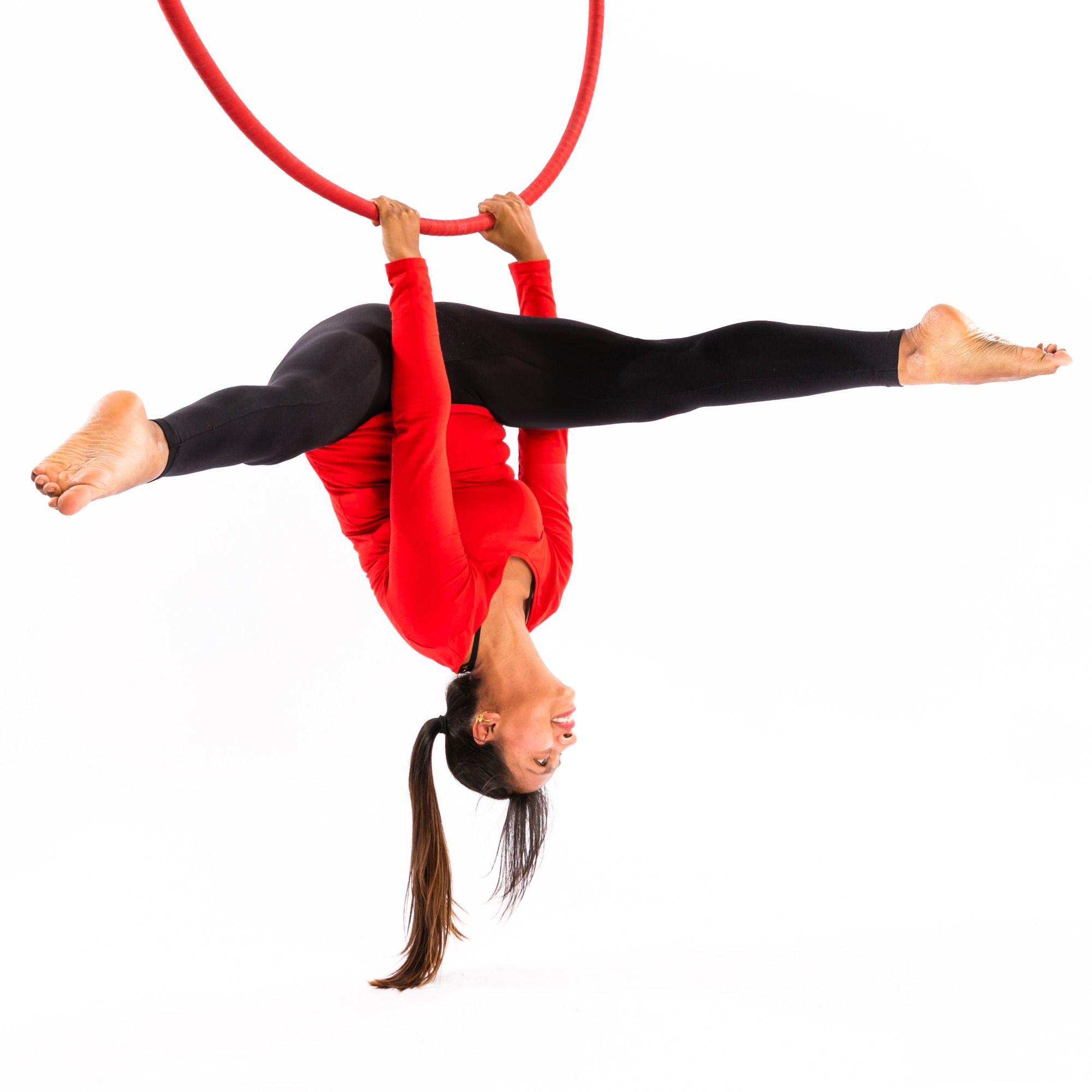 Introduction to Aerial Hoop (buch, englisch)